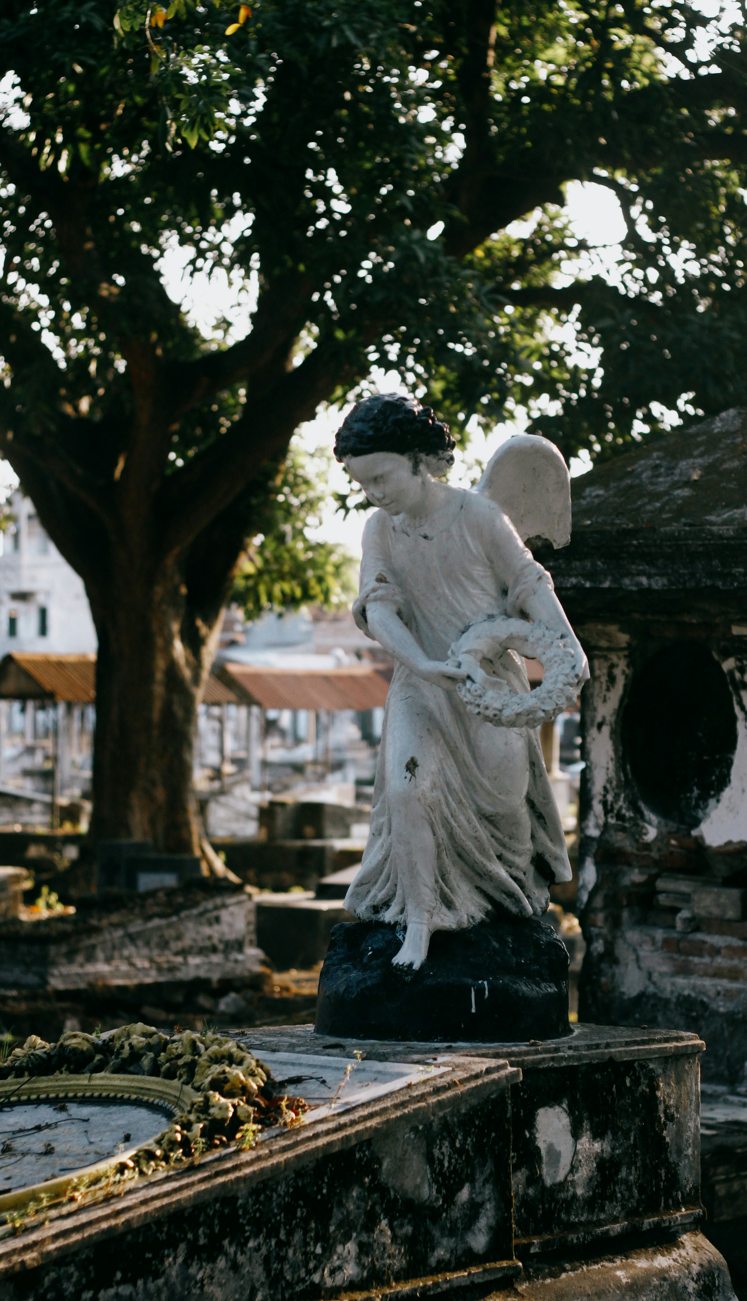 man in white dress shirt and blue denim jeans standing under tree during daytime